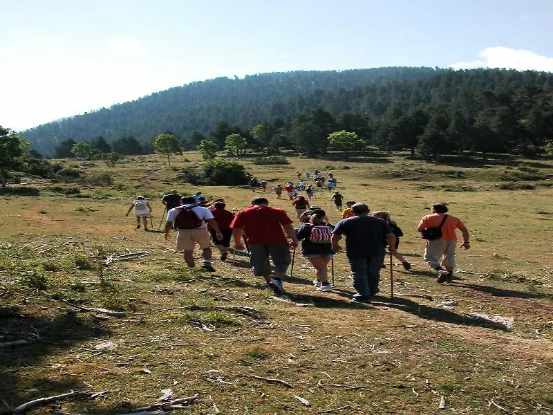אלפ Alberg Abrigall Masella מלון